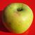 Malus domestica "Mutsu"