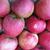 Malus domestica "Stayman"