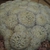 Form
