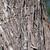 Bark