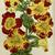 Mimulus x hybridus