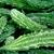 Momordica charantia, fruit