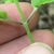 Opposite decussate ovate leaves and square stem