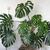 Potted form