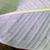 Underside of leaf