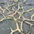 Thick spongy branching rhizomes