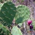 Form