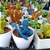 Potted plants that have been dyed various bright colors.