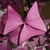 Close-up on a single, trifoliolate leaf. It is purple.