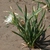 Form