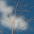 Form