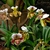 Form