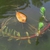 Stem and leaf