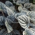 Form