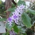 Form