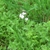 Form