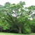 Form