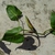 Form