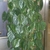 Form