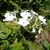 Form
