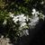 Form