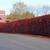 Photinia x fraseri Form
