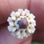 Top view with small flowers surrounding a spike
