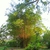 Form