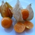 Physalis Nahaufnahme