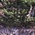 Form