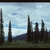 Form (Matanuska-Susitna, AK)-Mid Summer