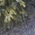 Form