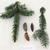 Picea omorika