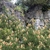 Form