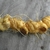 Tannish rhizome