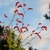 Form