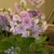 Lilac flowers above green leaves