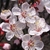 Flower detail