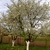 Form