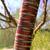Bark