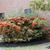 Pyracantha coccinea