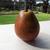 Pyrus communis 'Seckel'