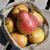 Pyrus communis 'Moonglow'