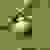 Acorn