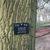 Bark