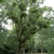 Form