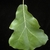 Leaf closeup with 3 shallow lobes