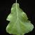 Leaf closeup