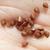 Seeds