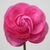 Front view of a pink, fully double, rose-like flower